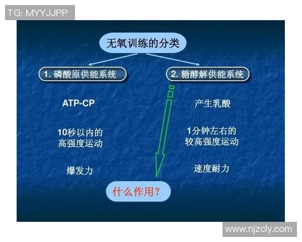 科学羽毛球耐力训练的有效方法与技巧探讨
